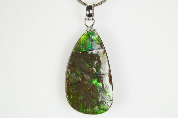 Brilliant Ammolite Pendant (Necklace) - Alberta, Canada #312474